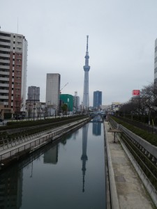 福神橋から東京スカイツリーを望む（HP用）