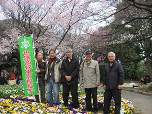 観桜会（飛鳥山公園－H28.3.27－）