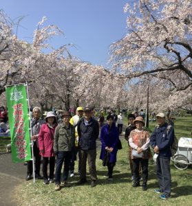 観桜会